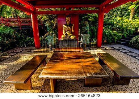 The Botanical Garden - Maderia