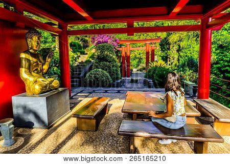 The Botanical Garden - Maderia