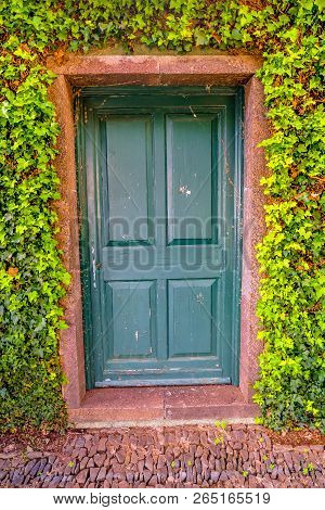 A Door Surrounded By Leaves In The Monte Palace Tropical Garden On Maderia