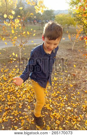 Happy boy have fun in the autumn park, throw up leaves, smie and laugh