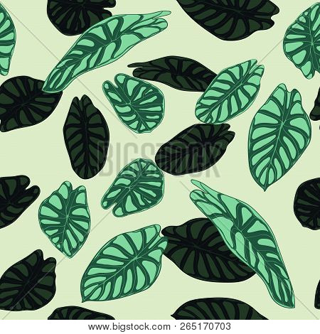Seamless Tropical Pattern. Trendy Background With Rain Forest Plants. Vector Leaf Of Alocasia. Green