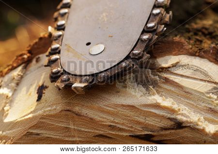 Close-up Of The Saw Chain And The Guide Bar Of A Used Chain Saw.