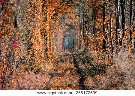 love tunnel in autumn