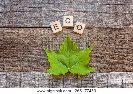 Inscription Eco Letters Word And Maple Leaf On Old Rustic Wooden Backdrop. Eco Village Abstract Envi
