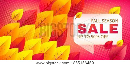 Autumn Sale Vector Promotion Banner With Colorful Leaves And White Frame On Textured Background. Fal