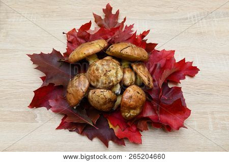 Mushrooms And Leaves On Wooden Table, Autumnal Decorations