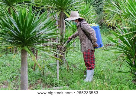 Agriculturist. Spraying Pesticides Fertilizers, Agriculturist Uses Chemicals On The Farm, Farmers Us