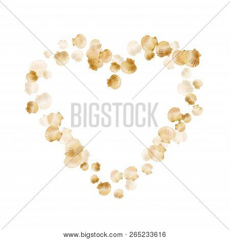 Gold Seashells Vector, Golden Pearl Bivalved Mollusks. Aquarium Scallop, Bivalve Pearl Shell, Marine