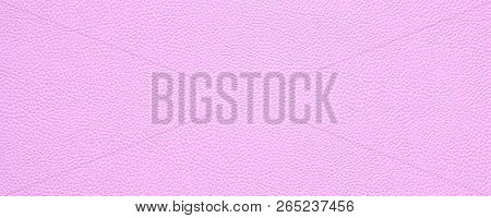 Blank Pink Leather Texture Background Banner Or Header With Copy Space