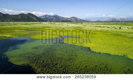 Aerial View Of The Beautiful Landscape Of Lake Skadar In The Mountain On A Sunny Day. Montenegro. Th