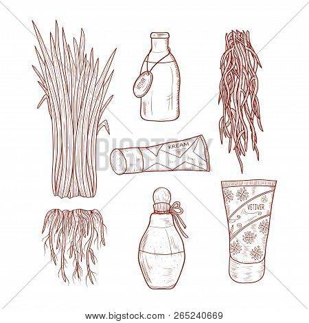 Vetiver. Leaves, Root. Bottle. Cream. Sketch. Set. Monochrome