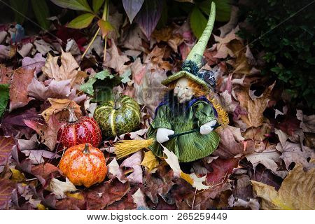 Before The Holiday, Halloween, Little Witch  Zelda Cleans Her Pumpkins From Maple Leaves, Collage.