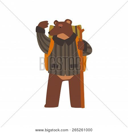Bear Travelling With Backpack And Staff, , Cute Cartoon Animal Having Hiking Adventure Travel Or Cam