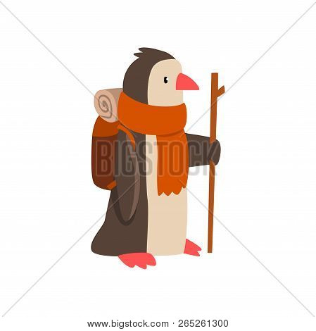 Penguin Travelling With Backpack And Staff, Cute Cartoon Bird Having Hiking Adventure Travel Or Camp