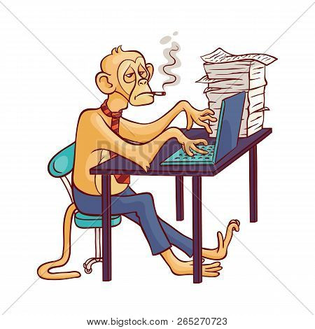 Tired Monkey In Business Pants And Tie With Cigarette Sitting At Office Table And Working At Laptop.