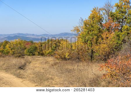 Amazing Autumn Landscape Of Cherna Gora (monte Negro) Mountain, Pernik Region, Bulgaria