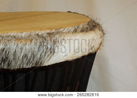 Up-close View Of A Wooden African Djembe Design With Goatskin Head, Deer Fur Rim And Tuning Ropes Fr