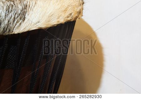 Up-close View Of An African Djembe Goatskin Head And Deer Fur Around The Rim And Tuning Ropes On The
