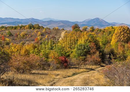 Amazing Autumn Landscape Of Cherna Gora (monte Negro) Mountain, Pernik Region, Bulgaria
