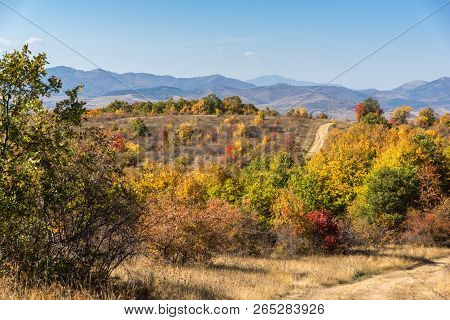 Amazing Autumn Landscape Of Cherna Gora (monte Negro) Mountain, Pernik Region, Bulgaria
