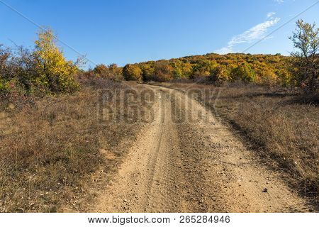 Amazing Autumn Landscape Of Cherna Gora (monte Negro) Mountain, Pernik Region, Bulgaria