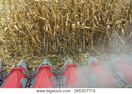 Harvesting Corn In A Field With A Modern Combine On A Cloudy Day, Followed By Loading Onto A Truck