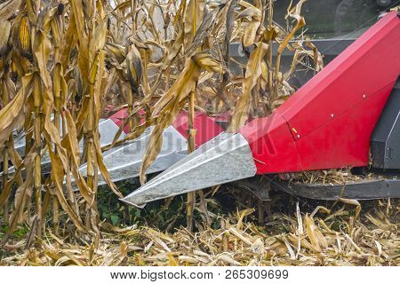 Harvesting Corn In A Field With A Modern Combine On A Cloudy Day, Followed By Loading Onto A Truck