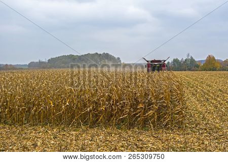 Harvesting Corn In A Field With A Modern Combine On A Cloudy Day, Followed By Loading Onto A Truck