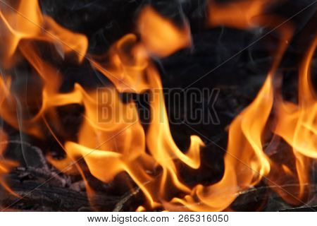 Fire Flame Smoke Embers To Fry On The Street Close-up