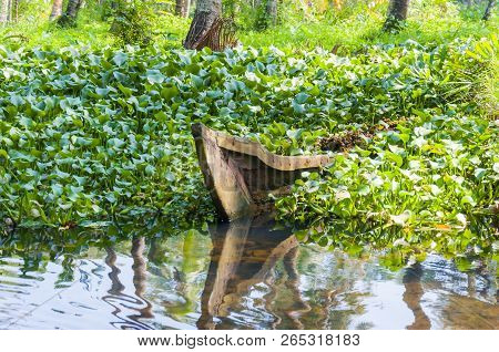Flooded Traditional Boat Of Kerala Backwaters Moored To The Shore. Backwaters In Kerala Is A Network