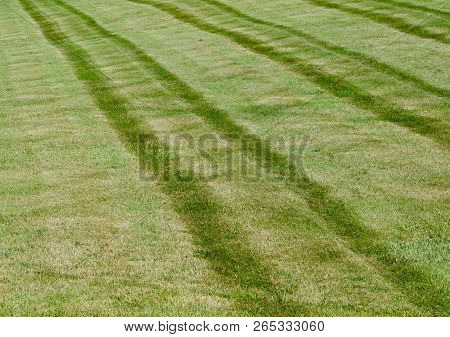 A Large Mowed Lawn Shows Green Stripes.