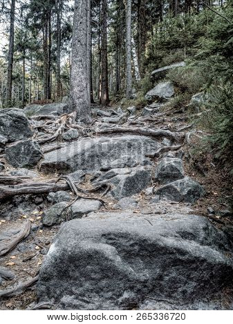 Beautiful tourist trail leading to the so called Errant Rocks in the Table Mountain National Park, Poland