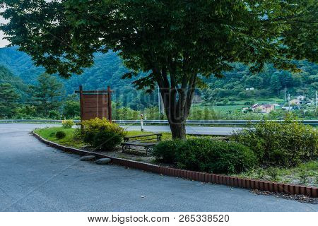 Large Tree With Lush Green Leaves And Park Benches At Rest Stop On Two Land Country Road.