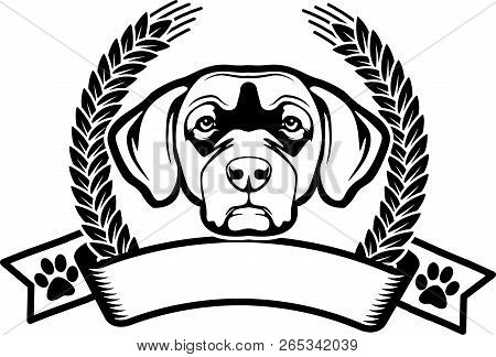 Chesapeake Bay Retriever Dog Breed Isolated Pet Pedigree Puppy Face