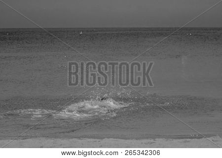 Houcima Beach In Summer With Waves And Rocks
