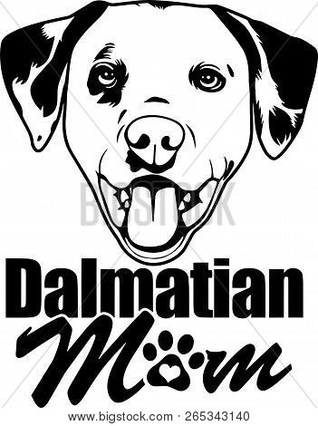 Animal Dog Dalmation 4R5Bh Mom.eps
