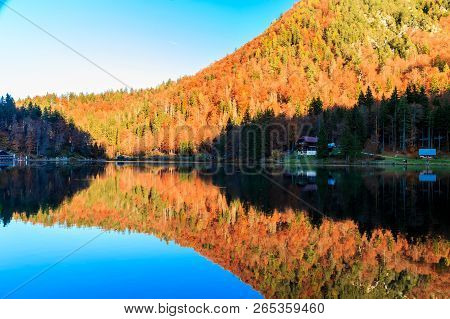 Colorful Autumn Foliage At The Alpine Lake