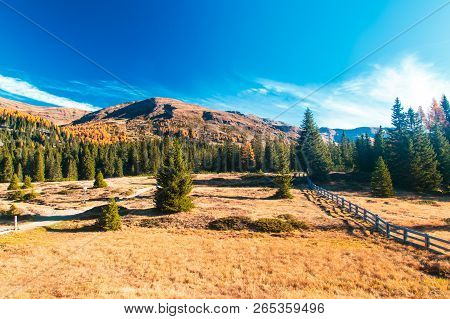 Autumn Trekking In The Alpine Pusteria Valley