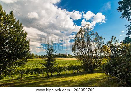 Sunset In The Vineyards Of Friuli Venezia Giulia