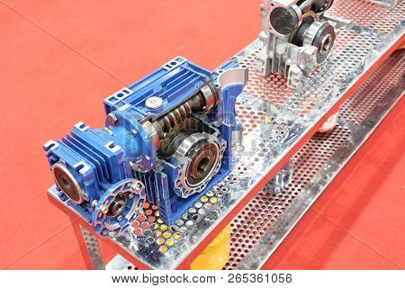 Cross Section Of Worm Gear Pump ; Selective Focus