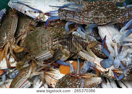 Group Of Captured Living Freshwater Crab, Banded Shell Animal In Ocean Fresh Market Seafood Restaura