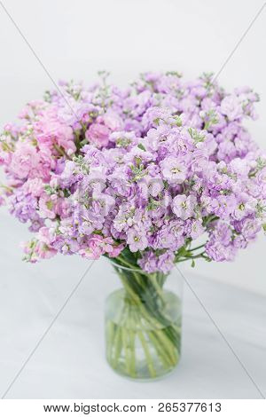 Bouquet Of Beautiful Lilac Color Gillyflower, Levkoy Or Matthiola. Spring Flowers In Vase On Wooden 