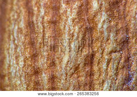 Macro Backgrounds Of Natural And Artificial Fabric