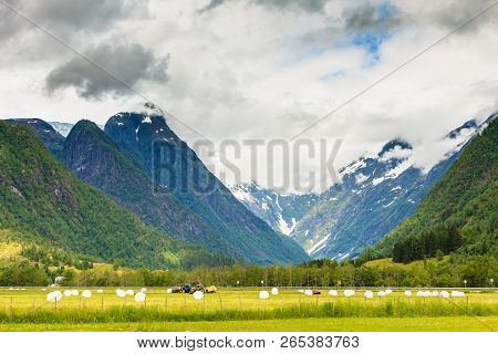 Agricultural Landscape With Straw Packages On Field. Cereal Bale Of Hay Wrapped In Plastic White Foi
