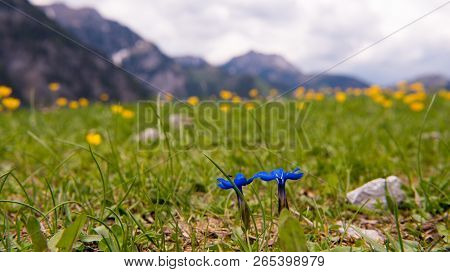 Mountains Near Pertisau, Austria, Alps. Spring Nature