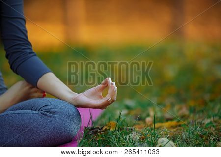 Young Practitioners Doing Yoga Exercises In Park. Women Meditate Outdoor Infront Of Beautiful Autumn