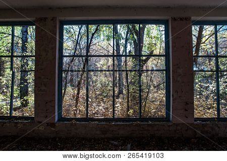 Window In Abandoned Shop In Chornobyl Zone