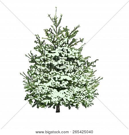 Fir-tree With Green Needles, The Color Vector Image On A White Background