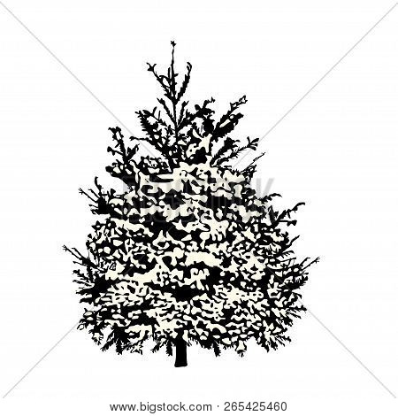 Fir-tree With Green Needles, The Color Vector Image On A White Background
