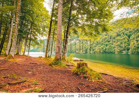 Beautiful Mountain Lake And Forest Panorama, Nature Landscape, Green Pine Forest, Alpine Lake View